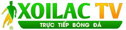 lá cúc tần